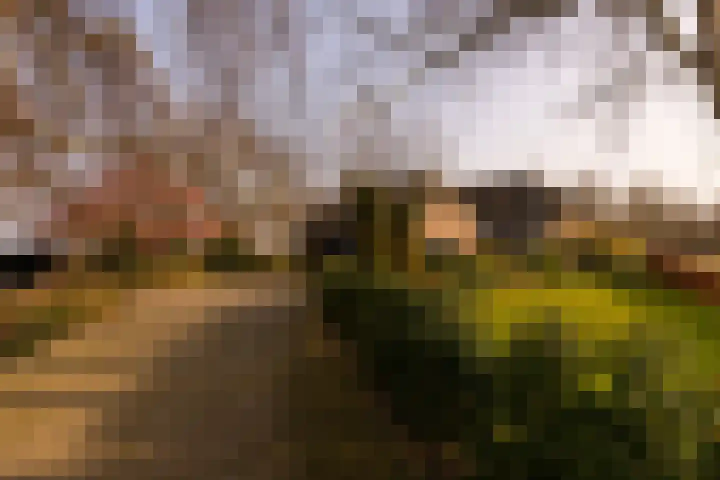 Lankhorsterstraat 3 Wichmond thumbnail 48