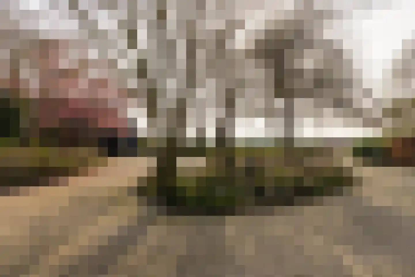 Lankhorsterstraat 3 Wichmond thumbnail 49