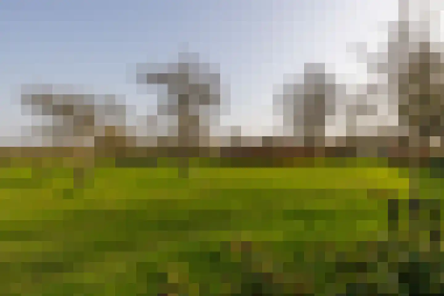 Lankhorsterstraat 3 Wichmond thumbnail 50