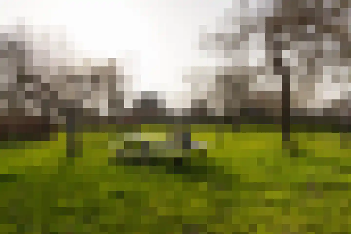 Lankhorsterstraat 3 Wichmond thumbnail 52