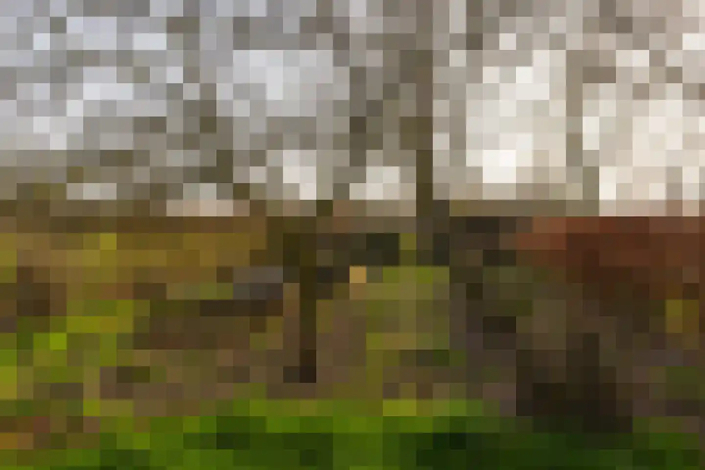 Lankhorsterstraat 3 Wichmond thumbnail 54