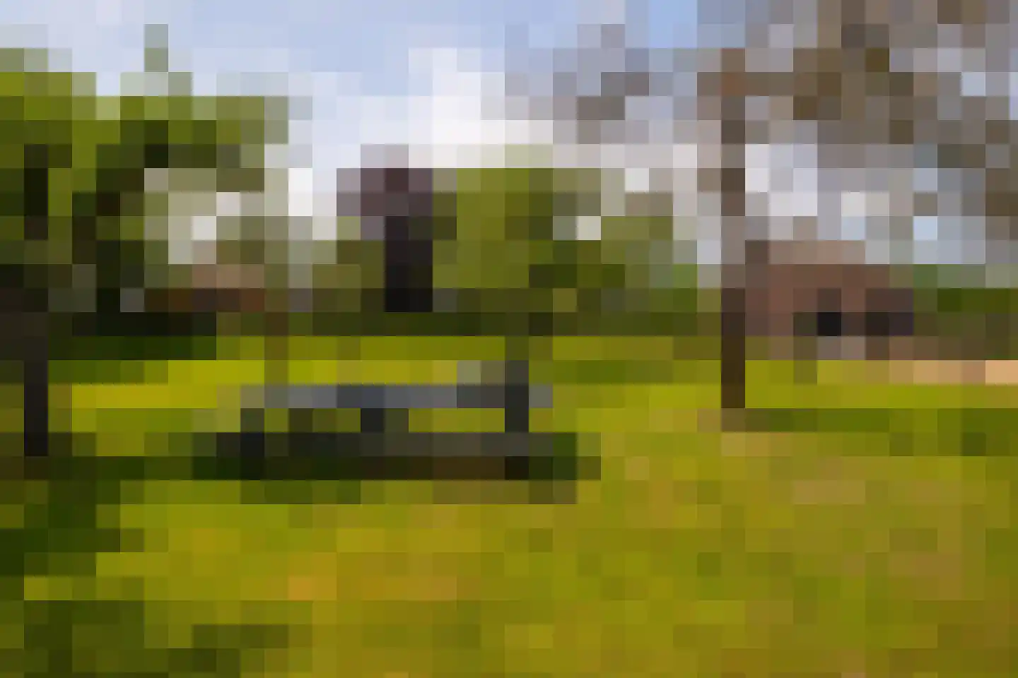 Lankhorsterstraat 3 Wichmond thumbnail 55