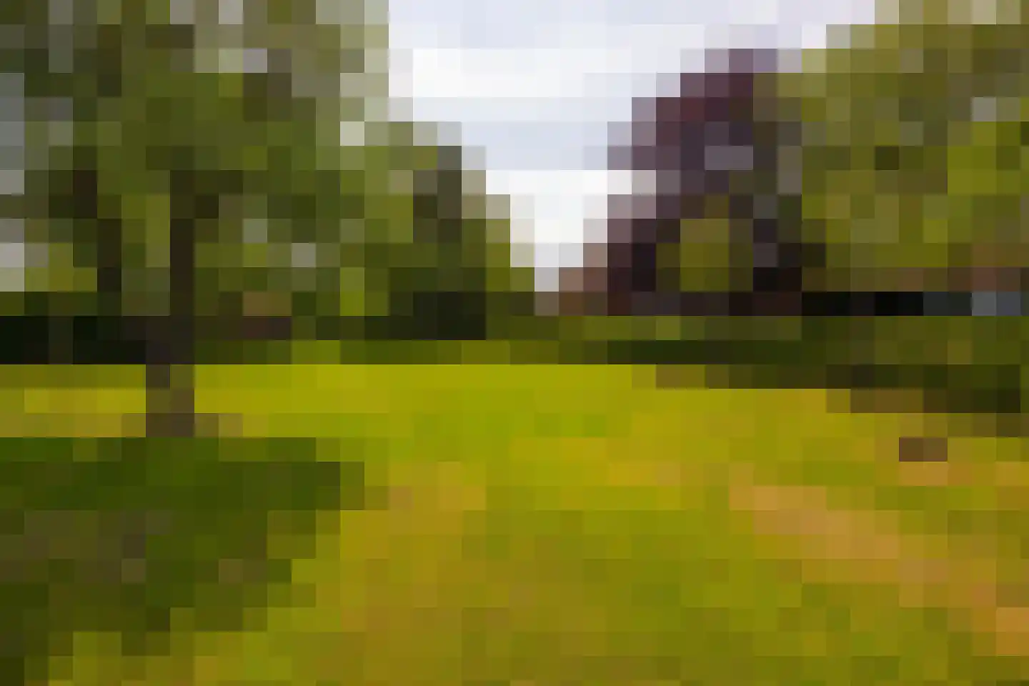 Lankhorsterstraat 3 Wichmond thumbnail 56