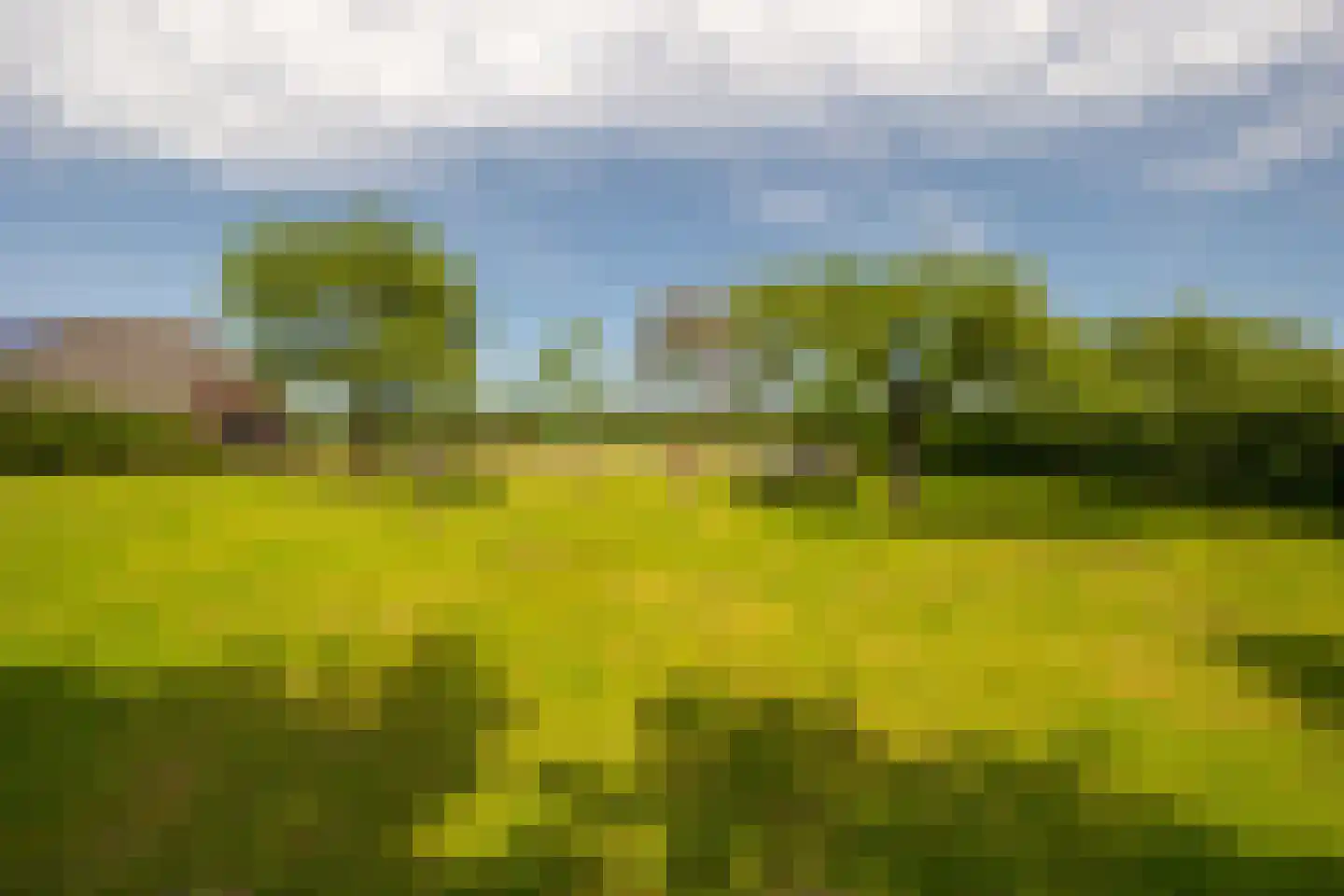 Lankhorsterstraat 3 Wichmond thumbnail 57