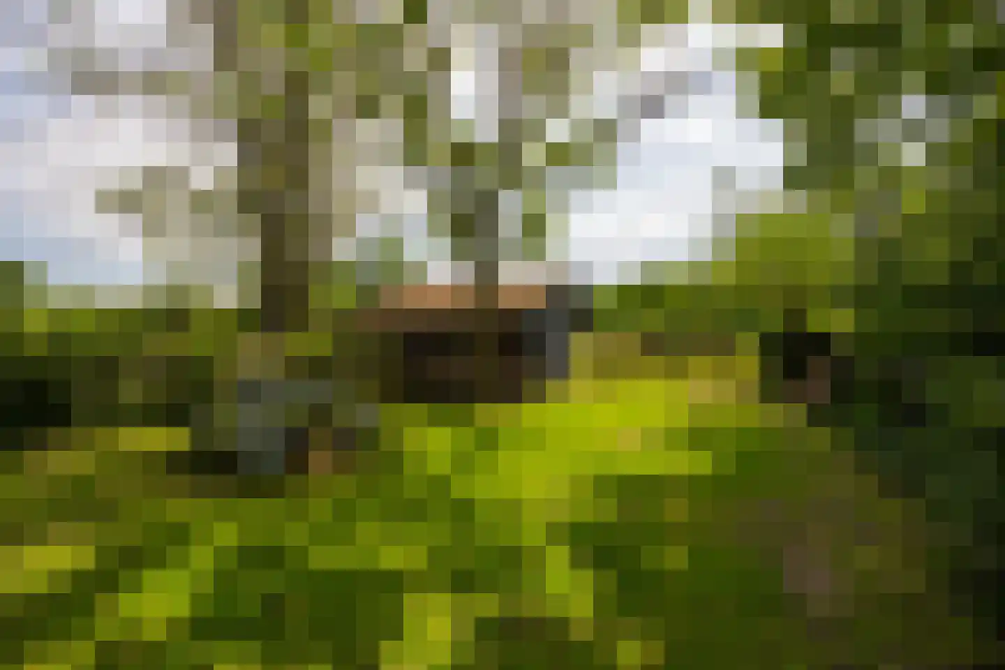 Lankhorsterstraat 3 Wichmond thumbnail 60