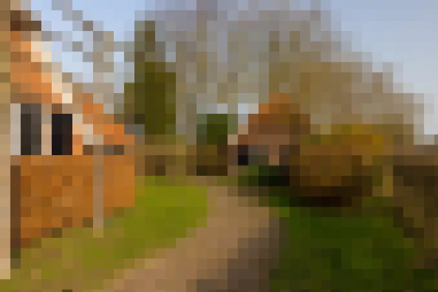 Lankhorsterstraat 3 Wichmond thumbnail 62
