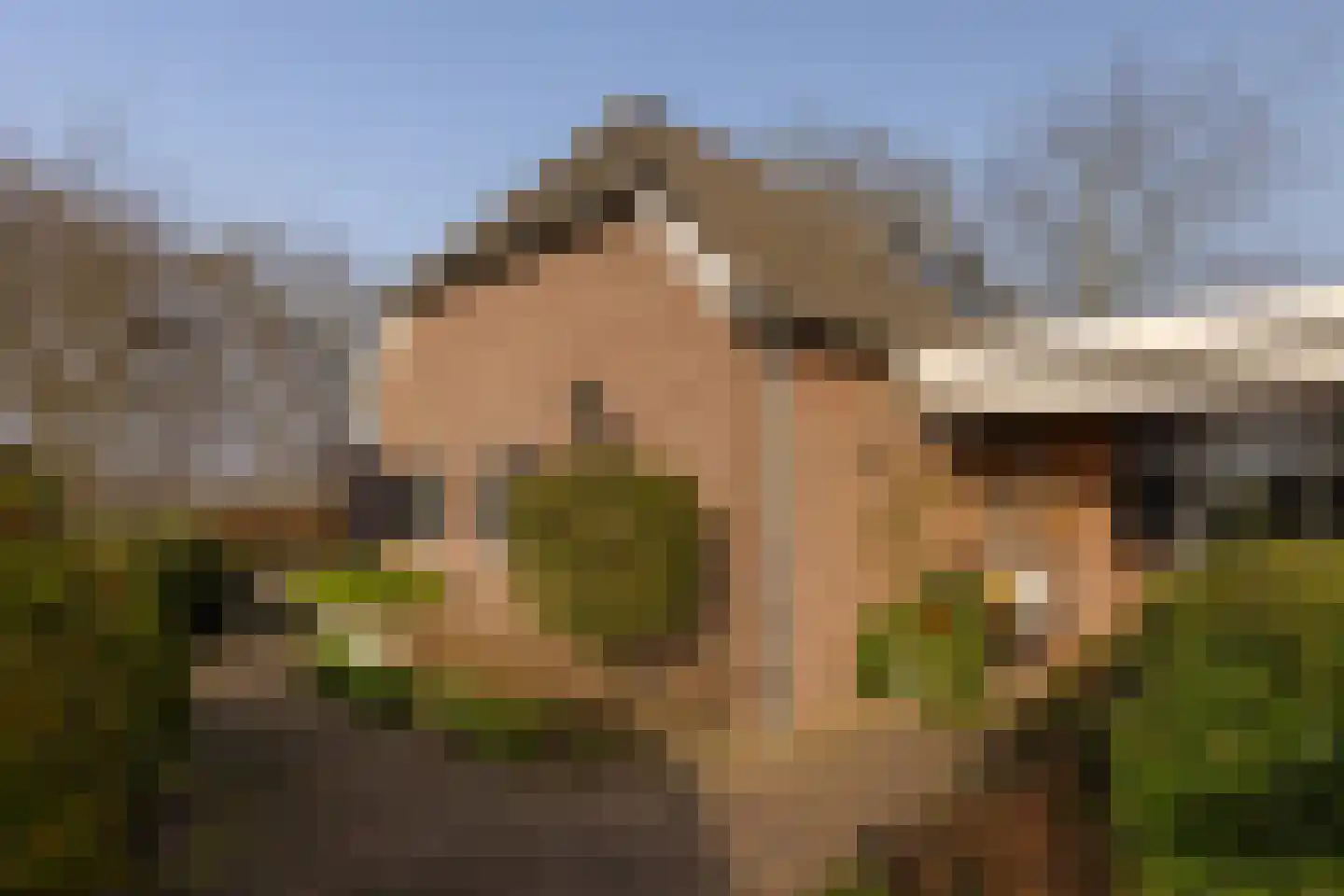 Lankhorsterstraat 3 Wichmond thumbnail 64