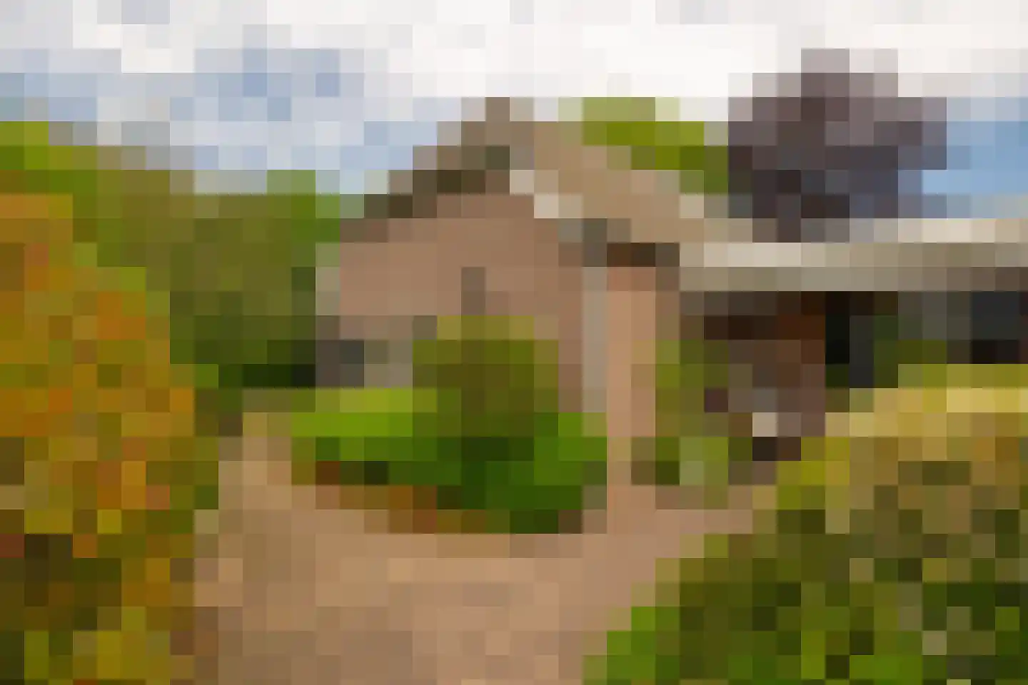 Lankhorsterstraat 3 Wichmond thumbnail 66