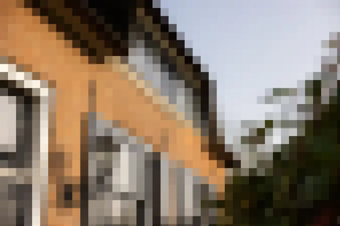 Lankhorsterstraat 3 Wichmond thumbnail 68