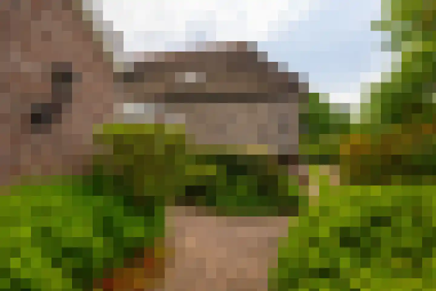 Lankhorsterstraat 3 Wichmond thumbnail 68
