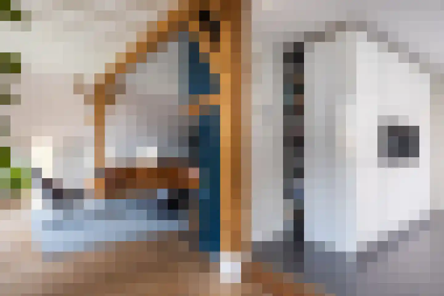 Lankhorsterstraat 3 Wichmond thumbnail 7