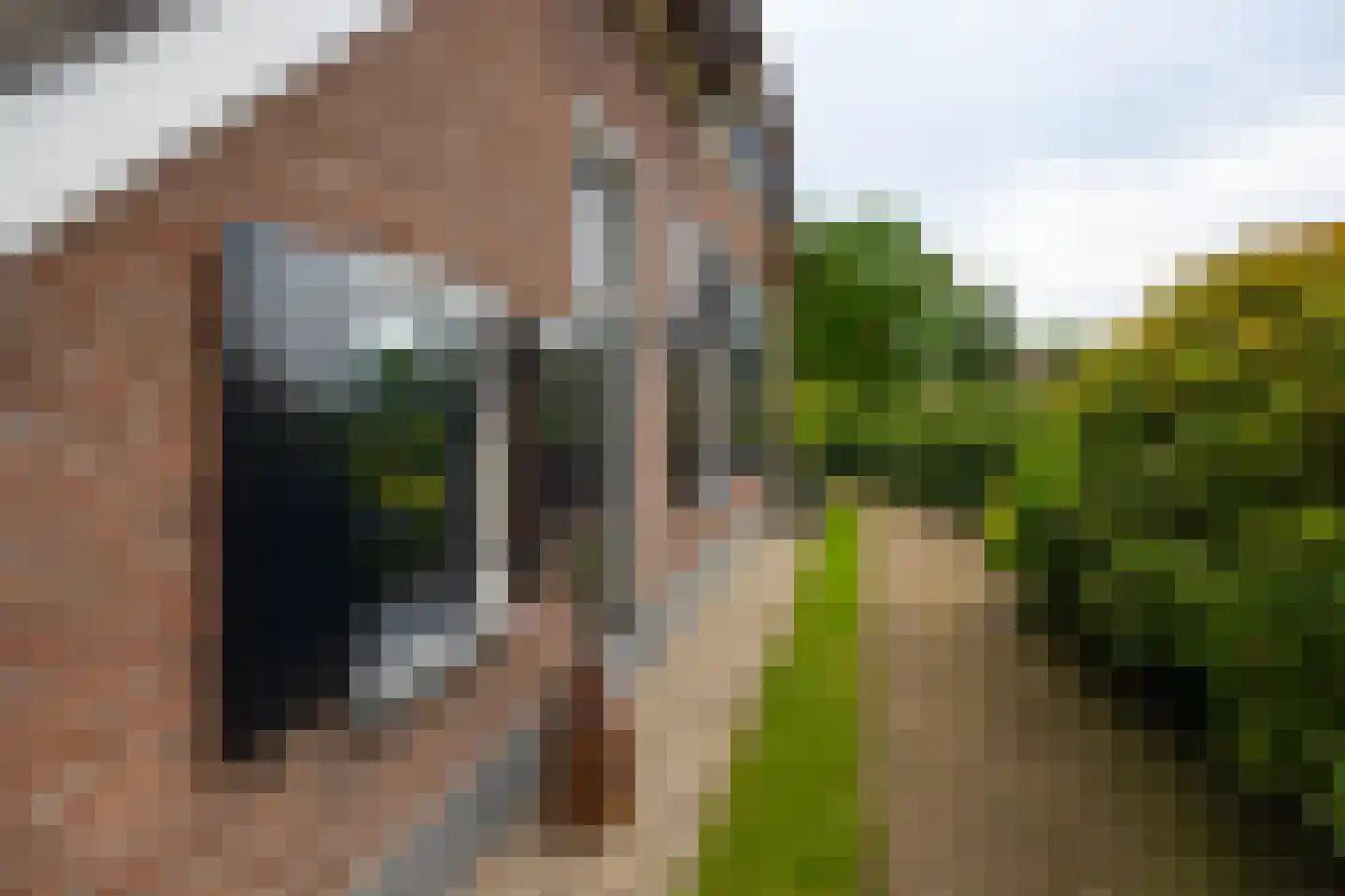 Lankhorsterstraat 3 Wichmond thumbnail 73