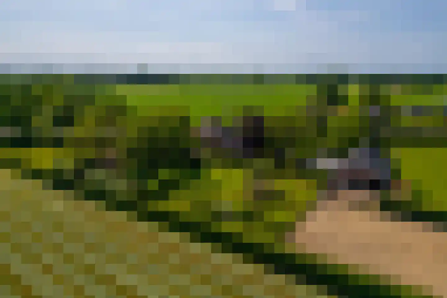 Lankhorsterstraat 3 Wichmond thumbnail 76