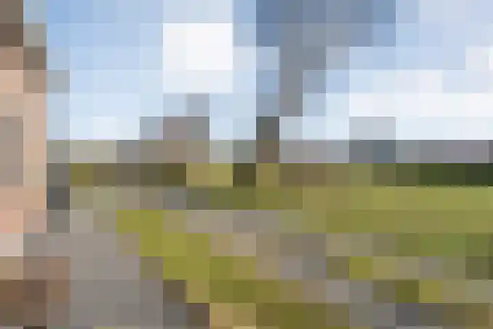 Lankhorsterweg 20 Staphorst thumbnail 33