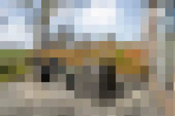 Lankhorsterweg 20 Staphorst thumbnail 37