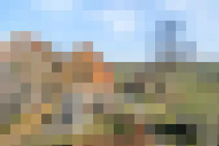 Lankhorsterweg 20 Staphorst thumbnail 40