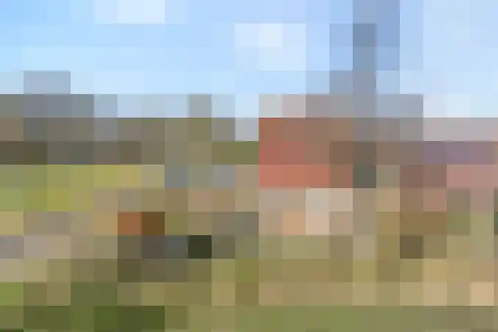 Lankhorsterweg 20 Staphorst thumbnail 41