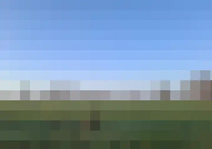 Lankhorsterweg 20 Staphorst thumbnail 51