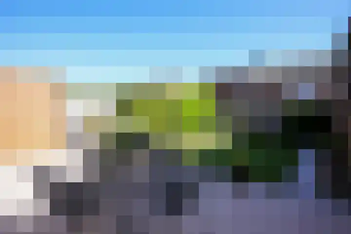 Lankveld 37 Erp thumbnail 22