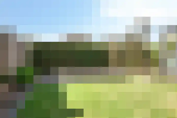 Lankveld 37 Erp thumbnail 32