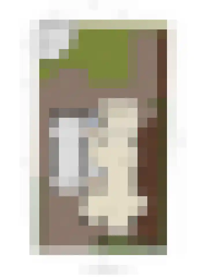 Lankveld 37 Erp thumbnail 33