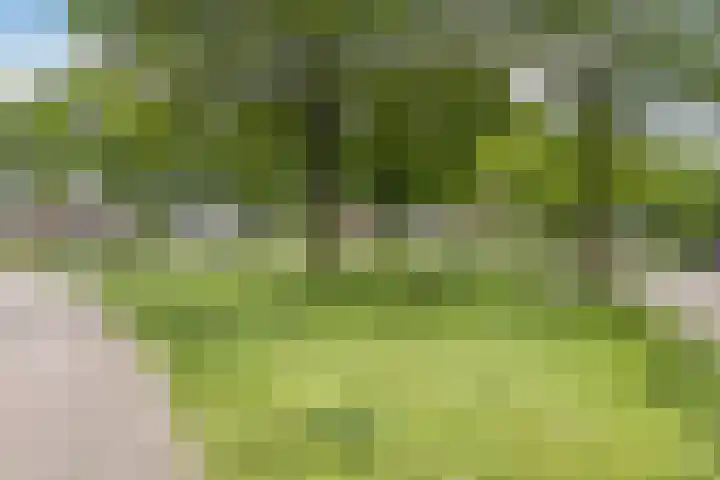 Lankveld 37 Erp thumbnail 8