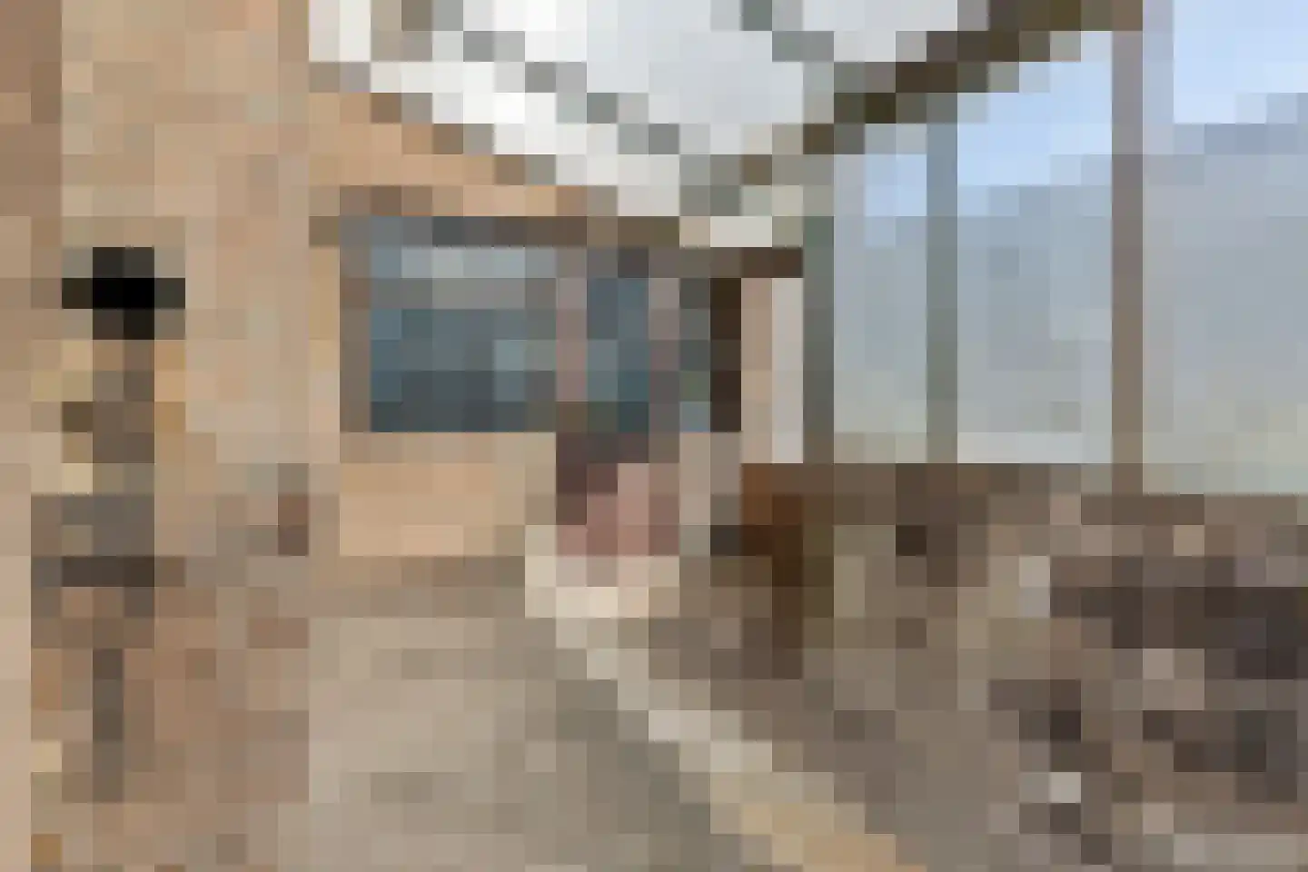 Lannerstraat 40 Tilburg thumbnail 20