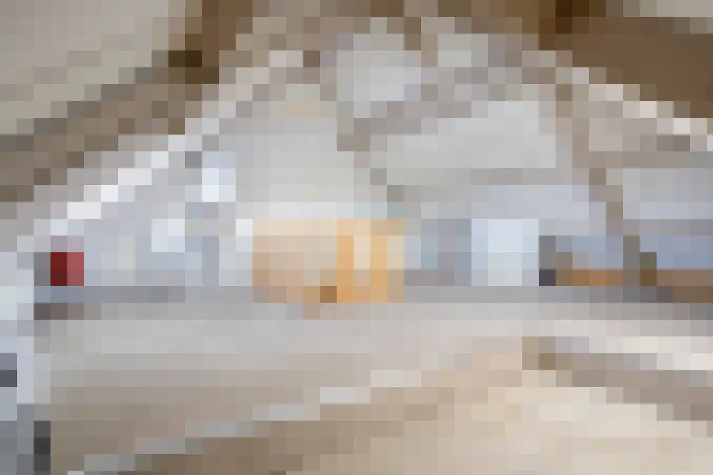 Lannervalk 1 Valkenswaard thumbnail 27