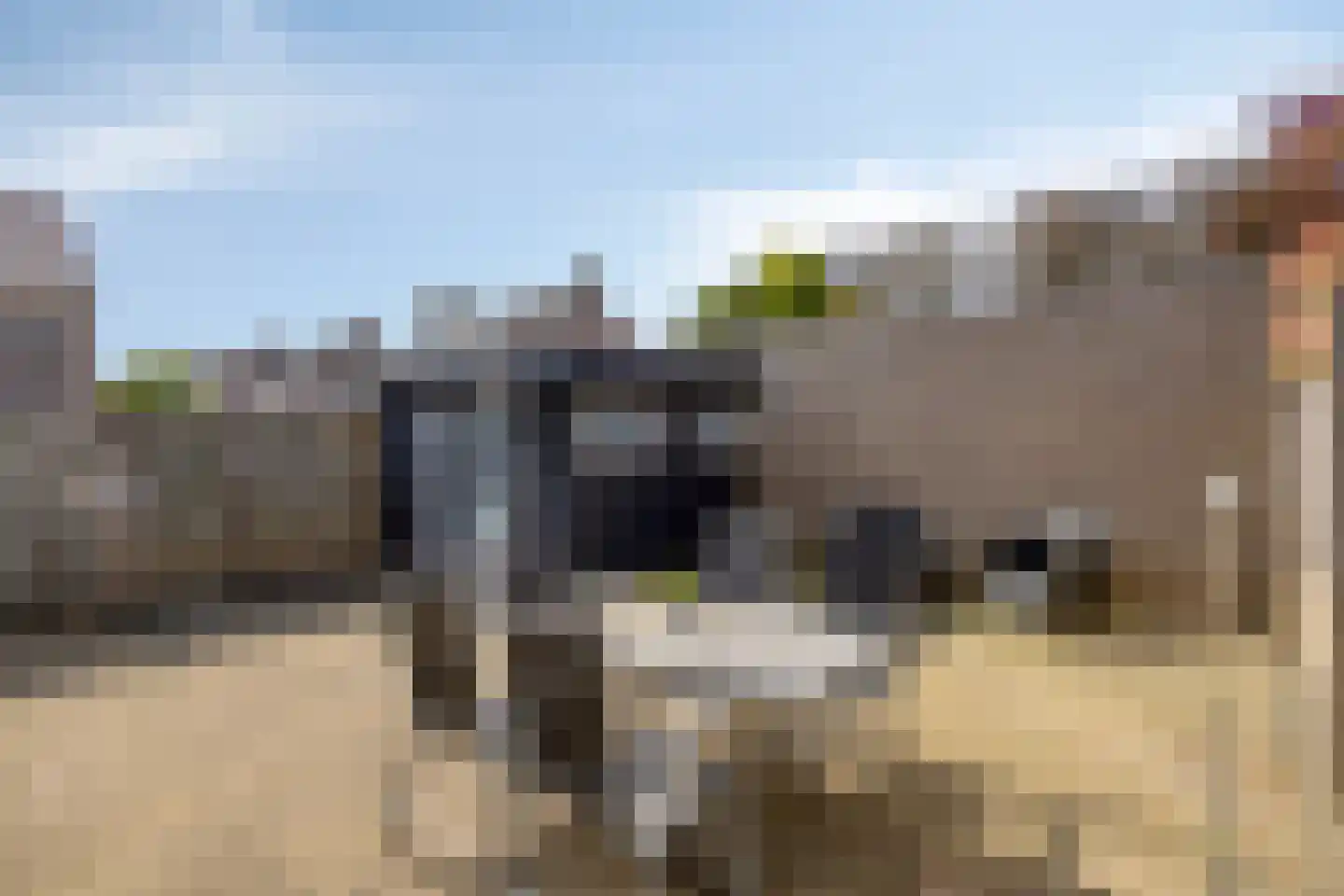 Lannervalk 1 Valkenswaard thumbnail 29