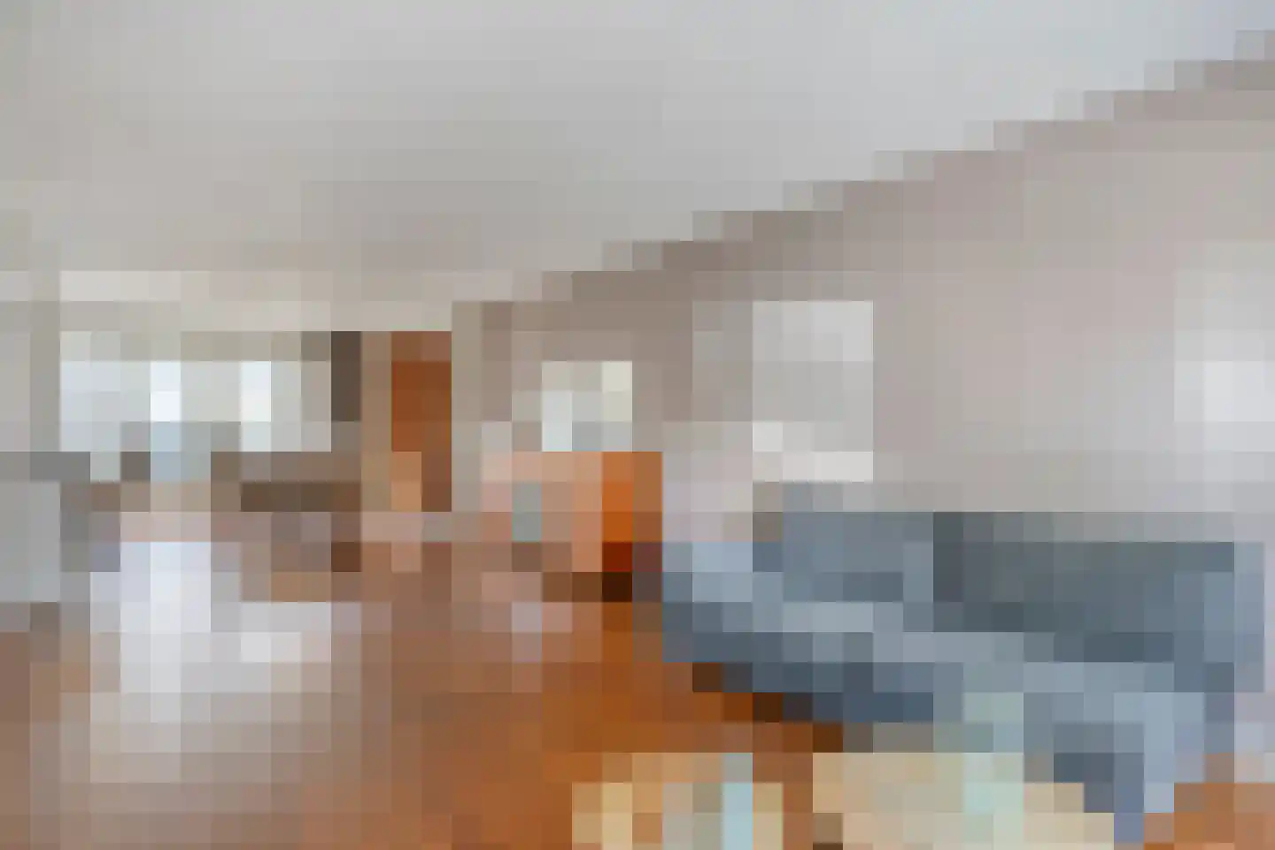 Lannervalk 1 Valkenswaard thumbnail 8