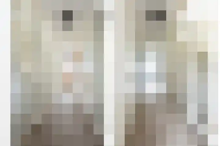 Lanphenlaan 3 Blaricum thumbnail 20