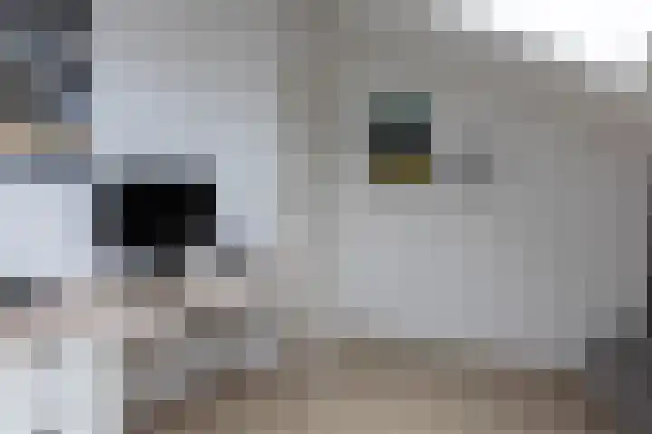 Lanphenlaan 3 Blaricum thumbnail 23