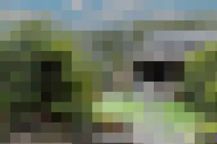 Lanphenlaan 3 Blaricum thumbnail 26
