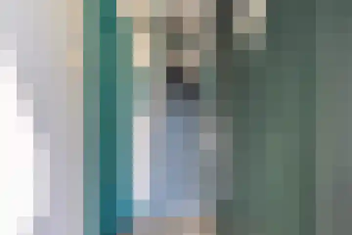 Lânsbuorren 7 Sumar thumbnail 10