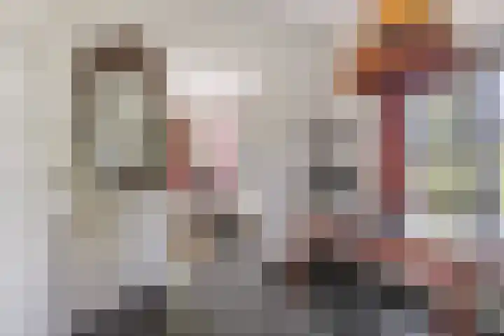 Lânsbuorren 7 Sumar thumbnail 15
