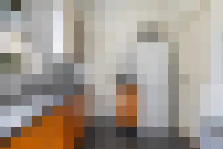 Lânsbuorren 7 Sumar thumbnail 16