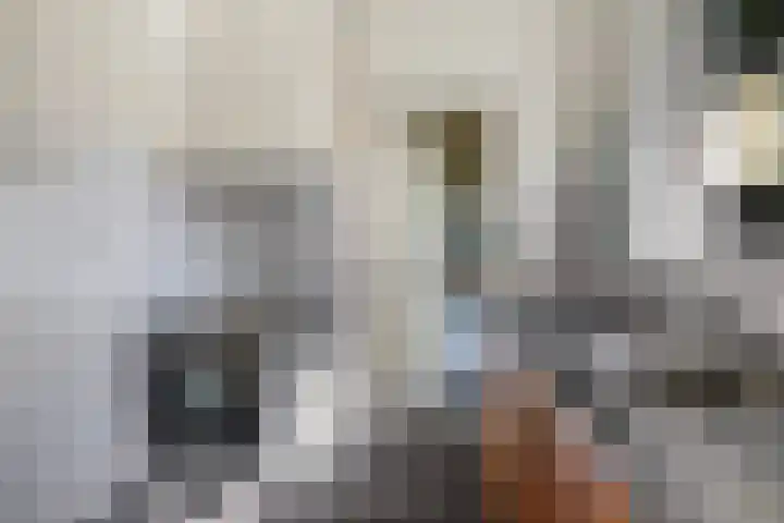 Lânsbuorren 7 Sumar thumbnail 17