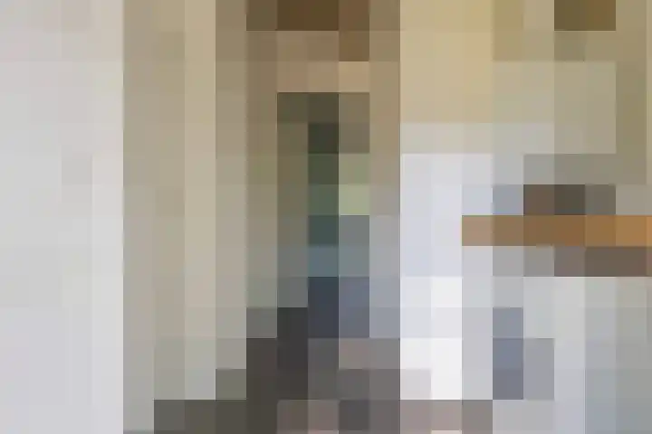 Lânsbuorren 7 Sumar thumbnail 18