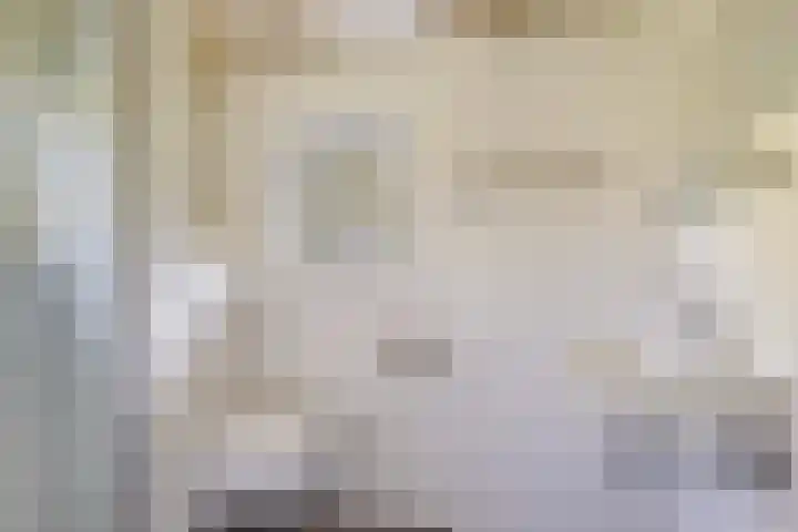 Lânsbuorren 7 Sumar thumbnail 20