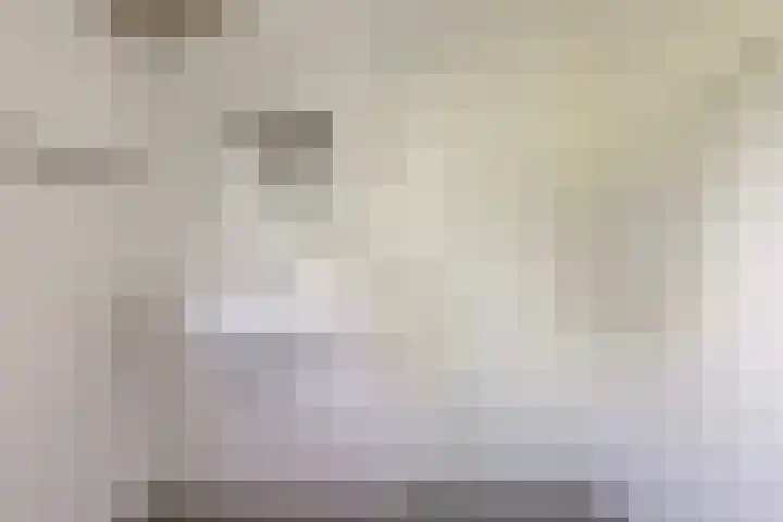 Lânsbuorren 7 Sumar thumbnail 21