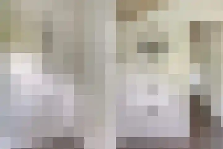 Lânsbuorren 7 Sumar thumbnail 22