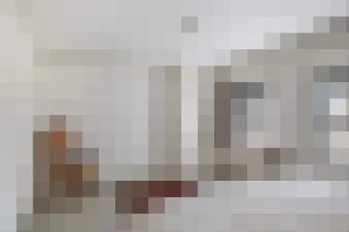 Lânsbuorren 7 Sumar thumbnail 31