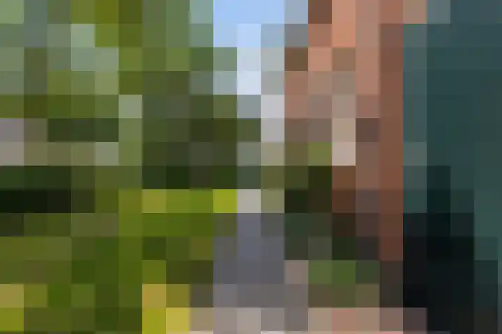 Lânsbuorren 7 Sumar thumbnail 32