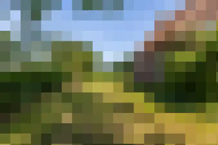 Lânsbuorren 7 Sumar thumbnail 33