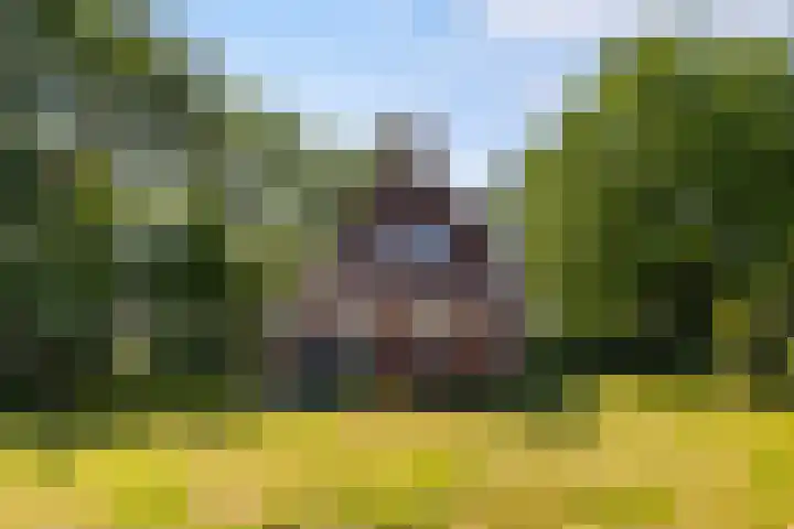 Lânsbuorren 7 Sumar thumbnail 34