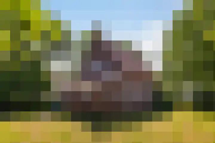 Lânsbuorren 7 Sumar thumbnail 35