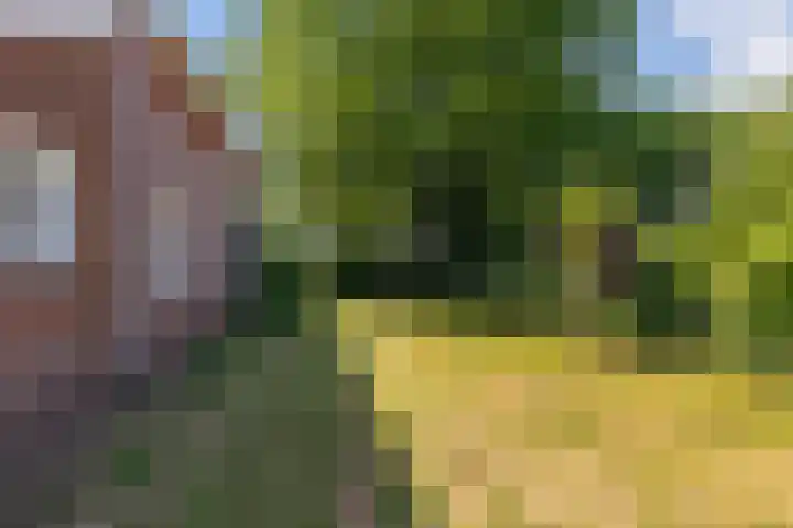 Lânsbuorren 7 Sumar thumbnail 36