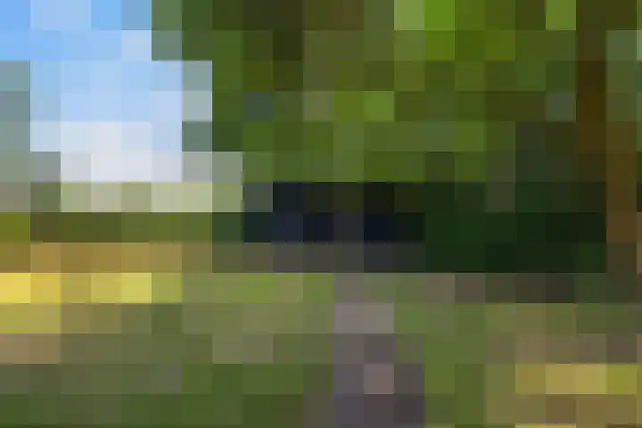 Lânsbuorren 7 Sumar thumbnail 37