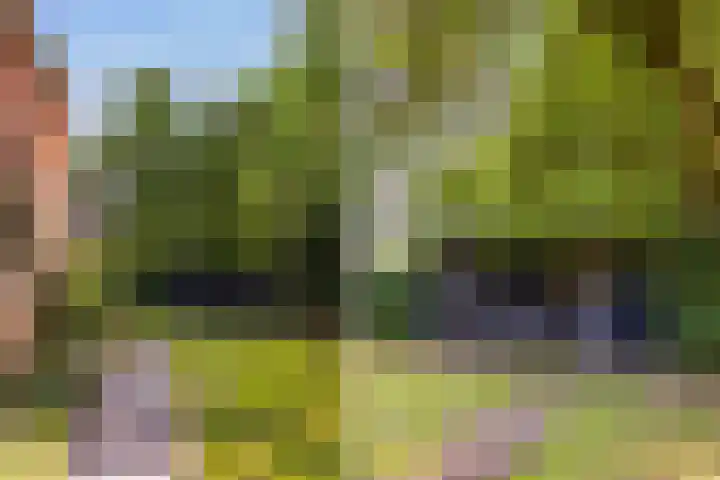 Lânsbuorren 7 Sumar thumbnail 38
