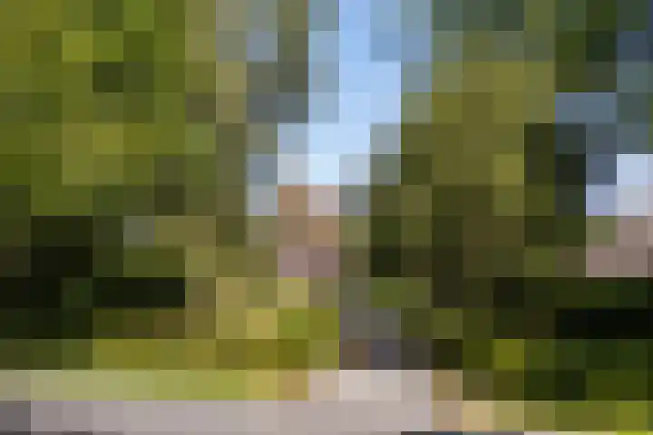 Lânsbuorren 7 Sumar thumbnail 4